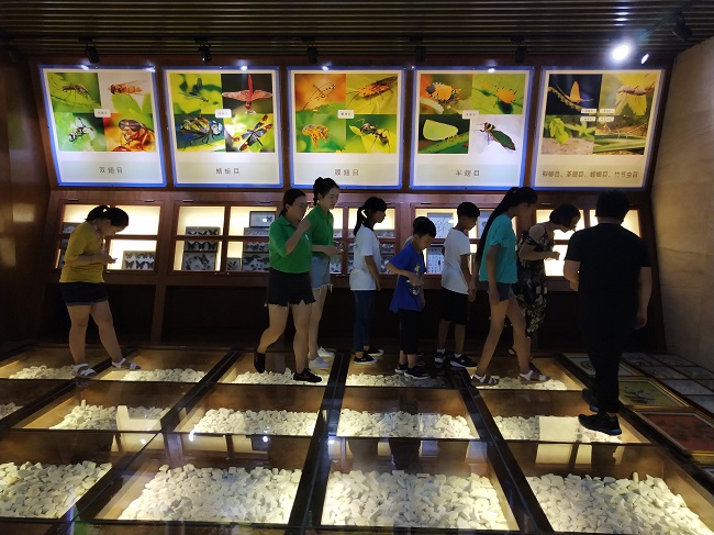 1532079404110892.jpg QQ图片20180720172051.jpg